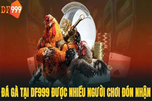 Giới thiệu về đá gà DF999