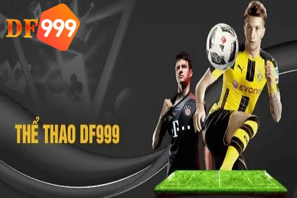 Sảnh thể thao DF999 hoành tráng